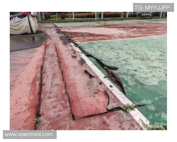 车范根签名足球鞋创新设计与性能分析助力球场表现